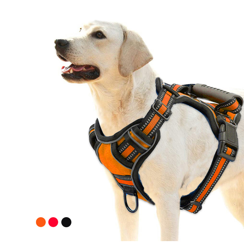 Padded Comfort Harness