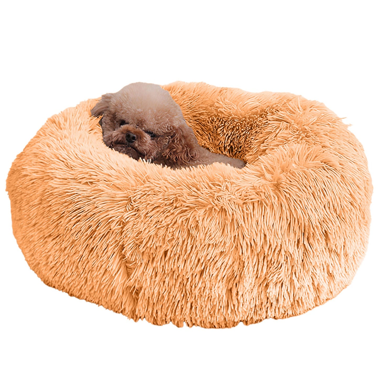 Luxury Sofa Dog Bed