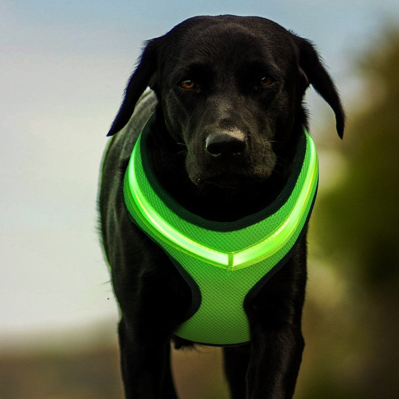 LED Safety Harness, USB Rechargeable — Marloft, product photo 4 of 18
