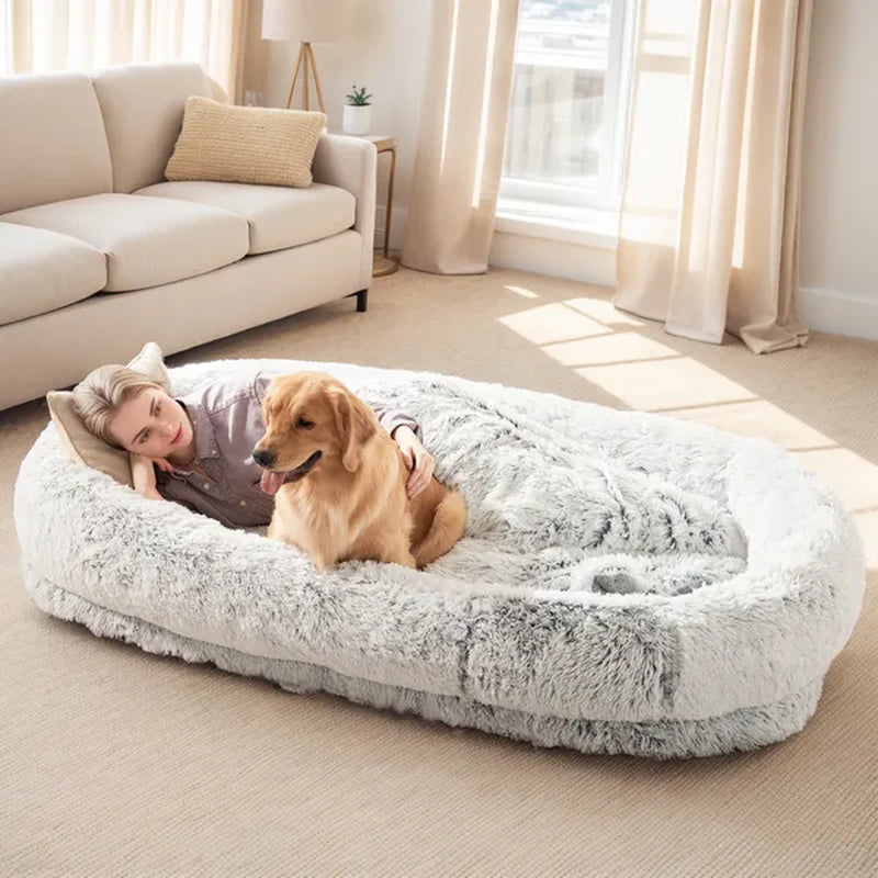 Large Orthopedic Dog Bed