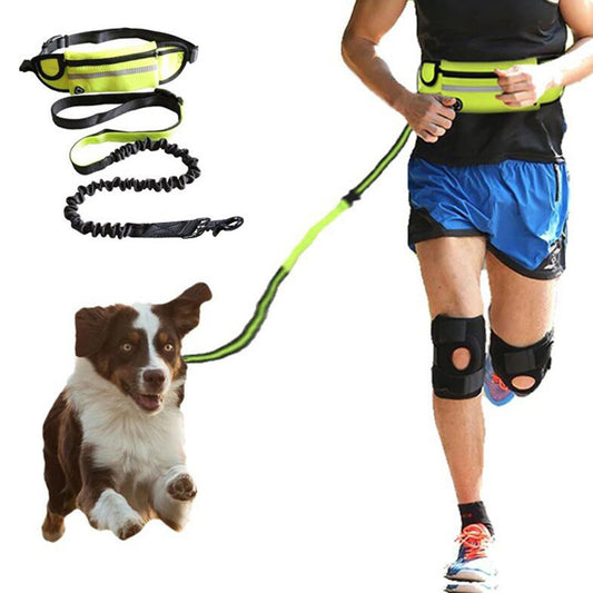 Hands-Free Running Leash with Waist Belt — Marloft, product photo 2 of 9