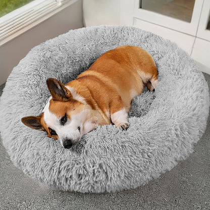 Luxury Sofa Dog Bed