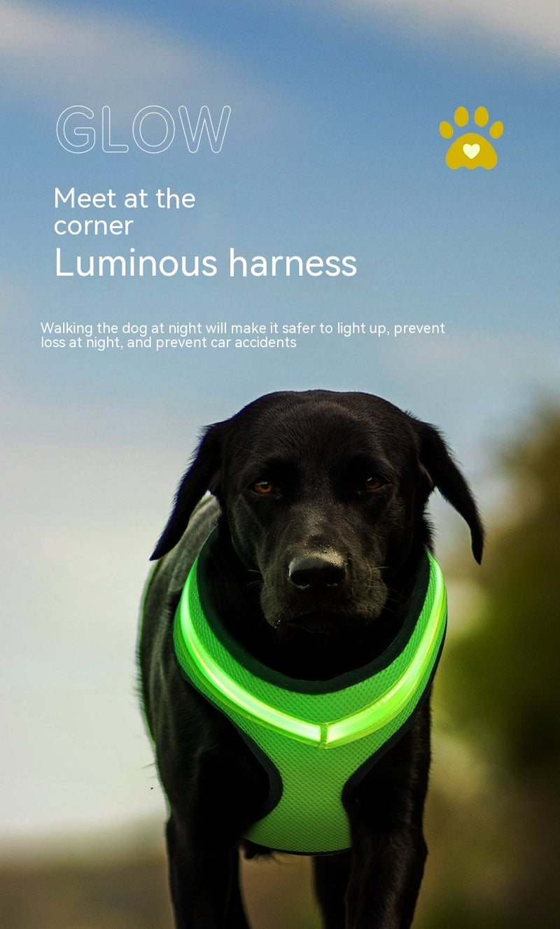 LED Safety Harness, USB Rechargeable — Marloft, product photo 10 of 18