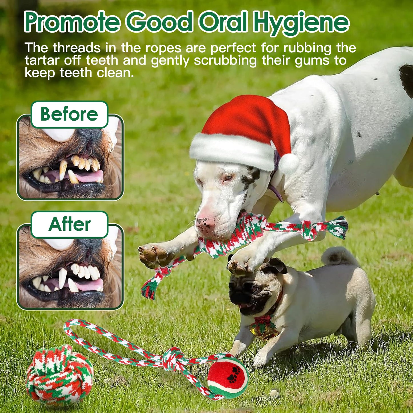 Five-Piece Rope Toy Set