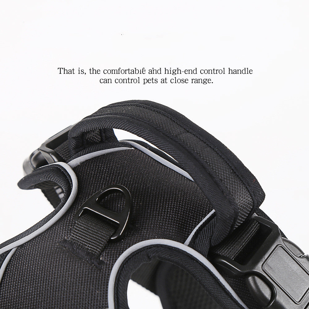 Padded Comfort Harness