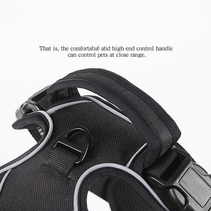 Padded Comfort Harness