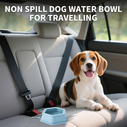 No-Splash Car Travel Bowl