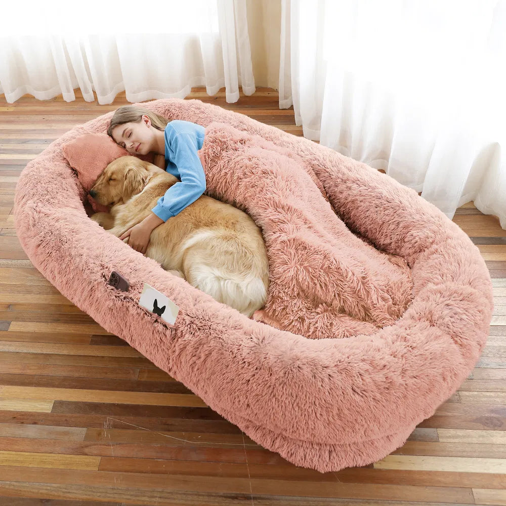 Large Orthopedic Dog Bed