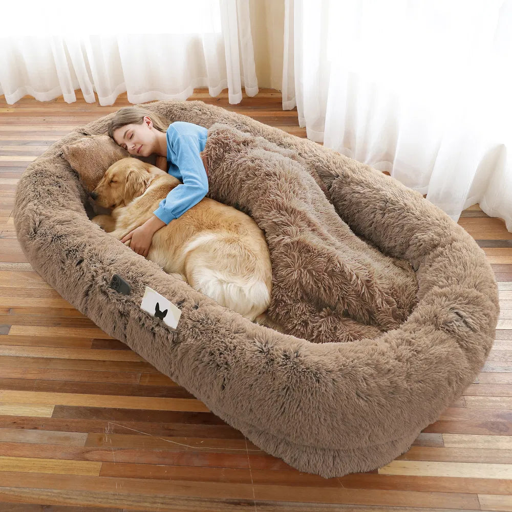 Large Orthopedic Dog Bed