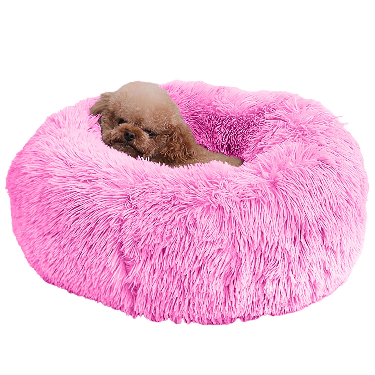 Luxury Sofa Dog Bed