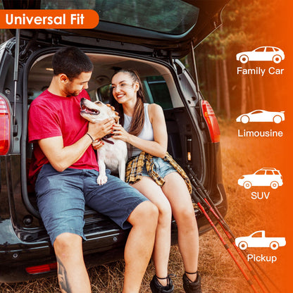 Waterproof Back Seat Cover with Safety Tether